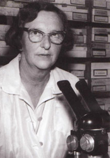 1926_Dr Joyce Vickery_Herbarium_369x532